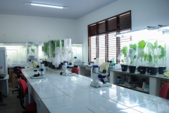 Laboratório da universidade vazio. Uma bancada ao centro e sobre ela três microscópios. Também se vê pequenos vasos e plantas para experiências. Ao lado direito uma janela.