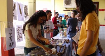 Alunos reunidos no pátio da UEMASUL realizam exposição de alguns espécimes e de plantas medicinais.