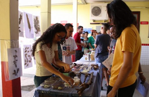 Alunos reunidos no pátio da UEMASUL realizam exposição de alguns espécimes e de plantas medicinais.