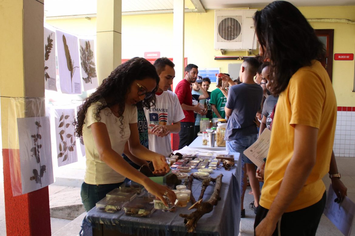 Alunos reunidos no pátio da UEMASUL realizam exposição de alguns espécimes e de plantas medicinais.